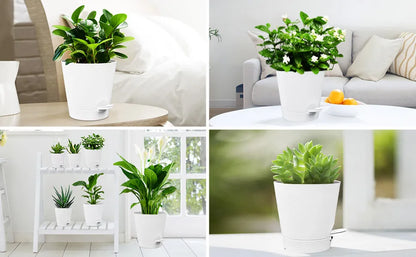 Self-watering Flower Pot