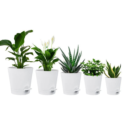 Self-watering Flower Pot